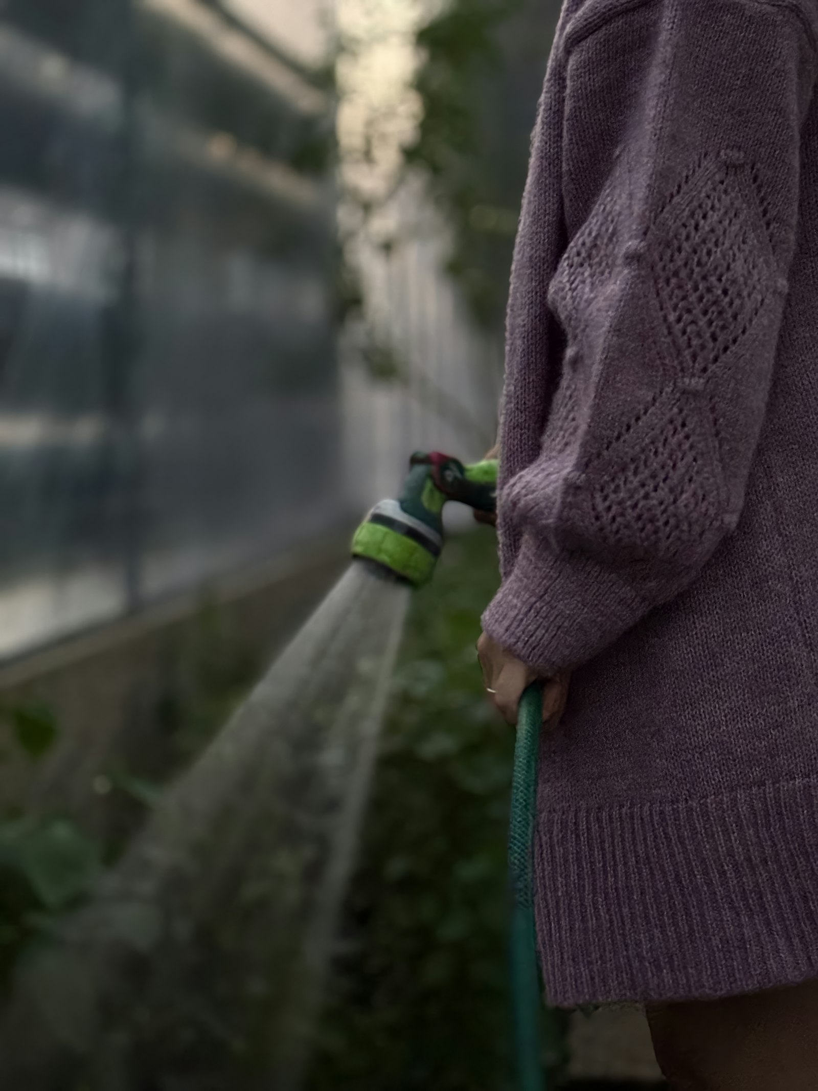 Personne arrosant des plantes avec un tuyau