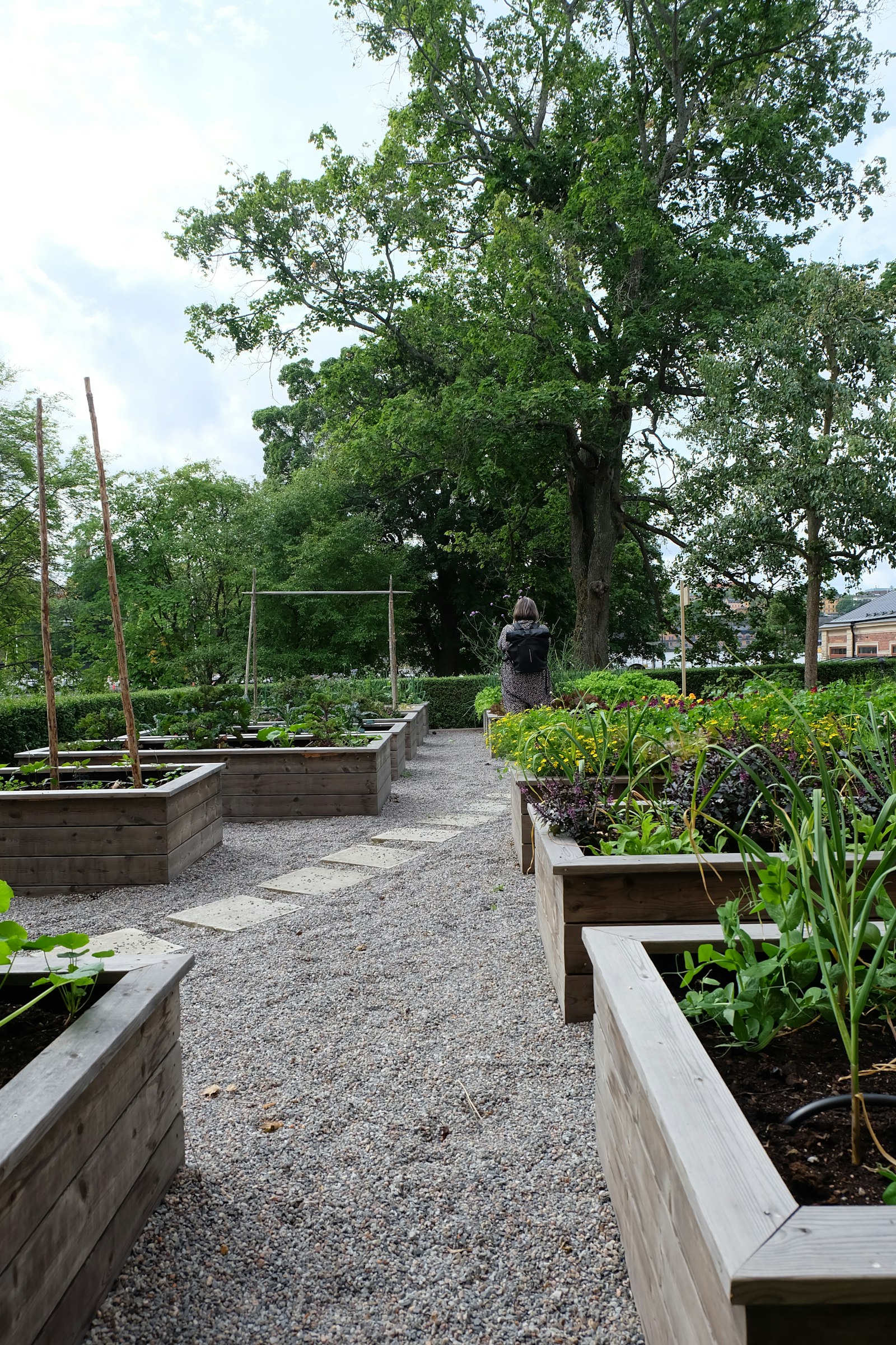 Potager en carrés surélevés avec allée de pierre