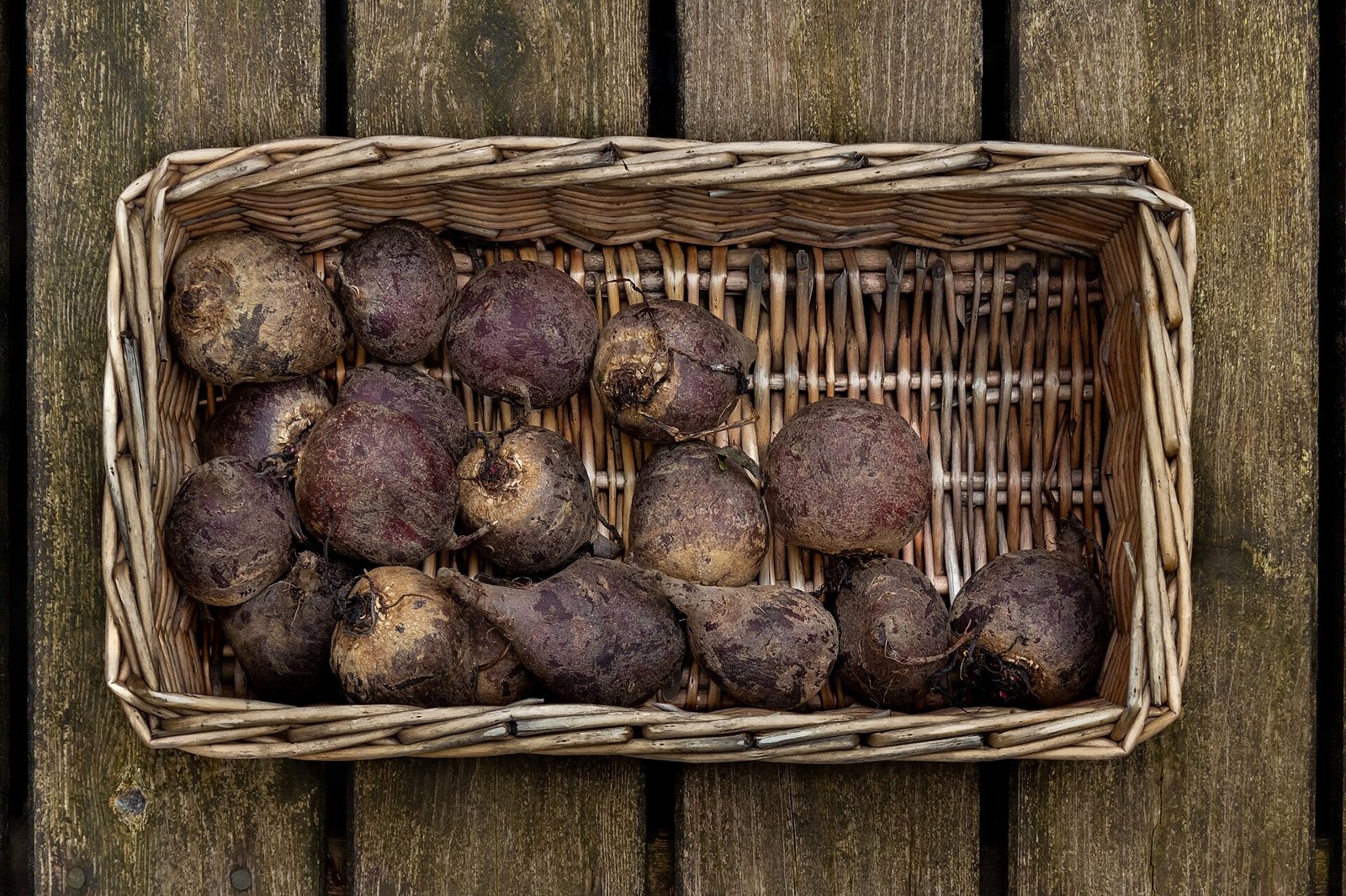 Betteraves rouges fraîchement récoltées rangées dans un panier en osier