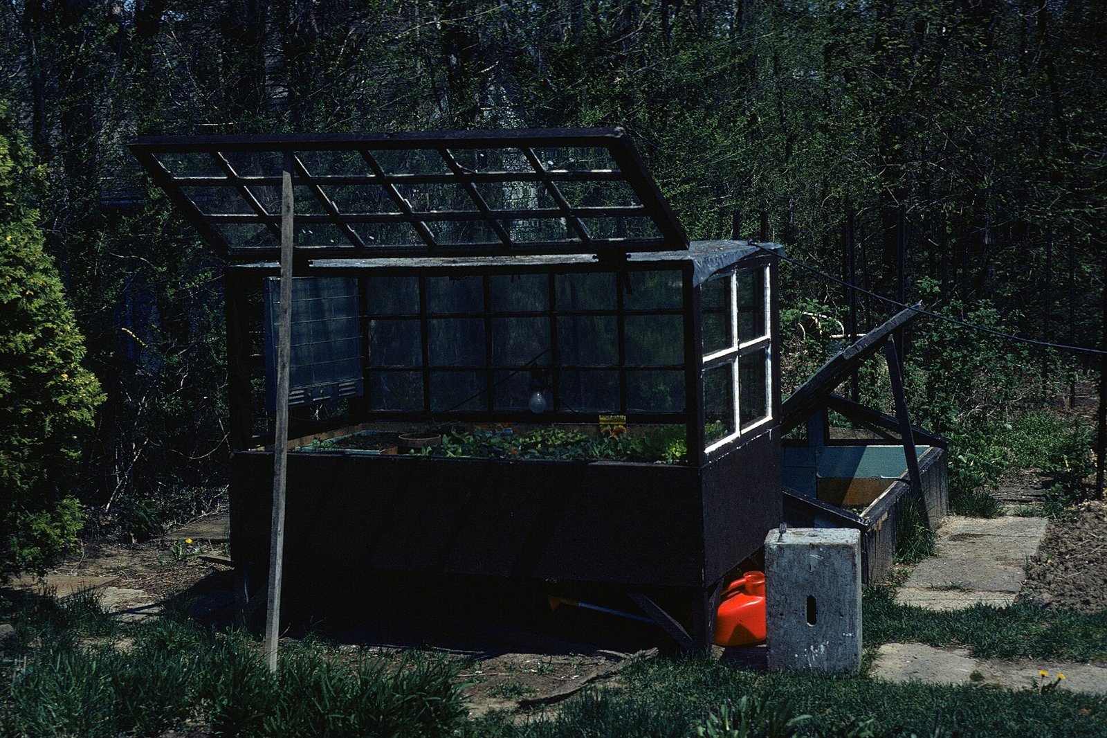 Châssis de jardin vitré ouvert au-dessus d'un carré de culture