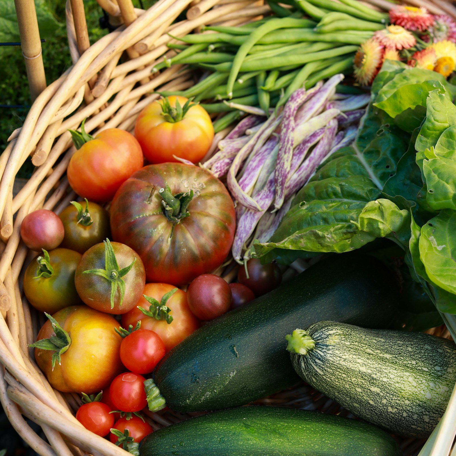 Légumes orange et verts dans un panier tressé