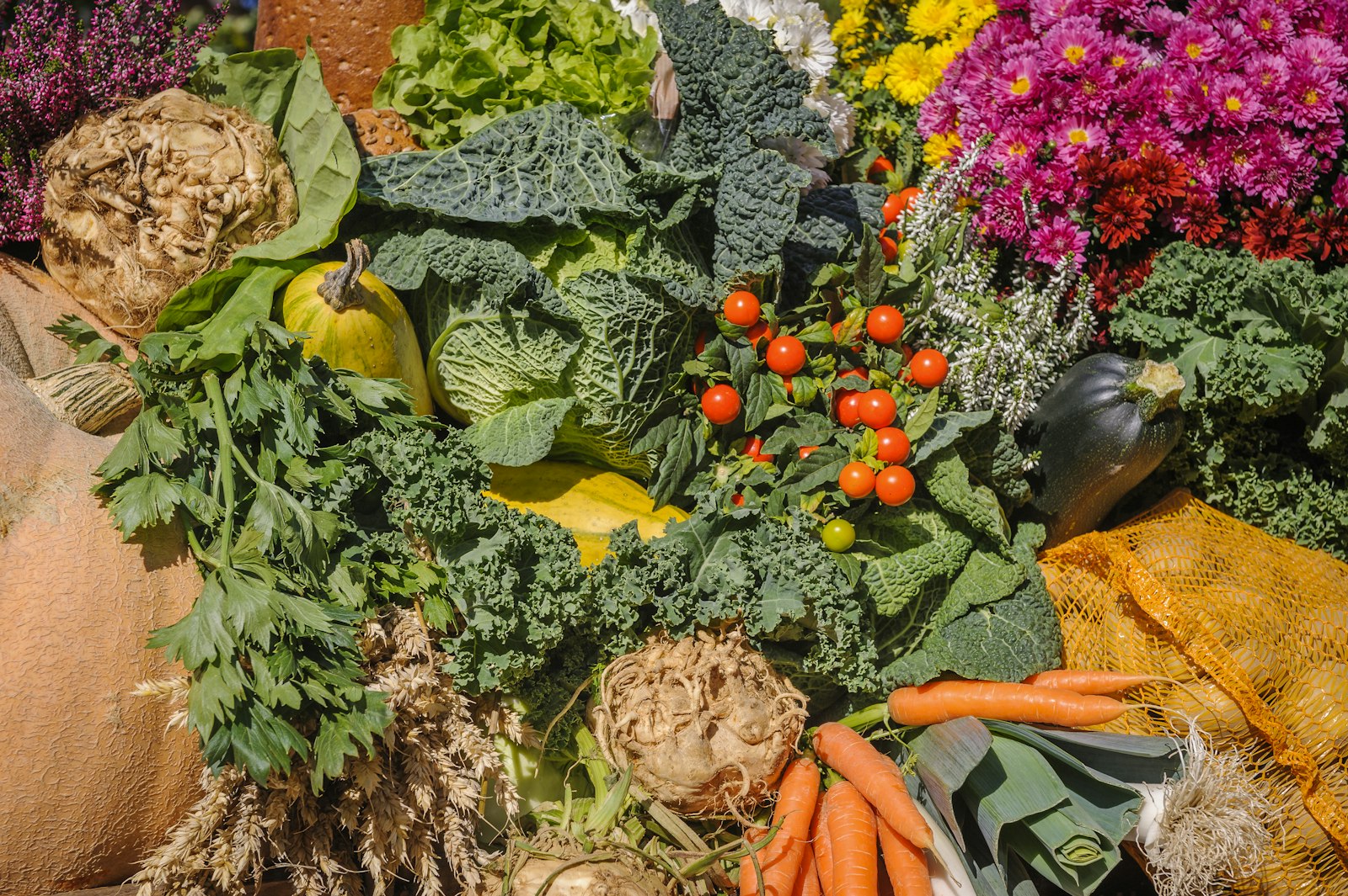 Variété de légumes frais réunis