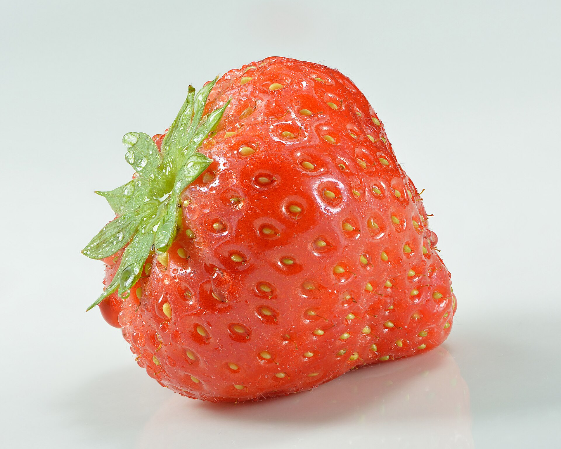 Grosse fraise rouge mûre sur fond blanc