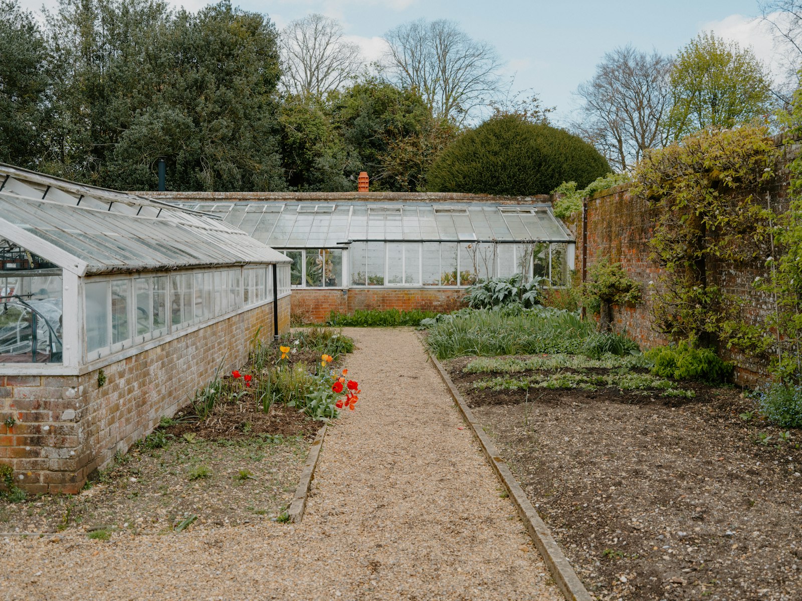 Carrés de potager et serres le long d'un mur de briques