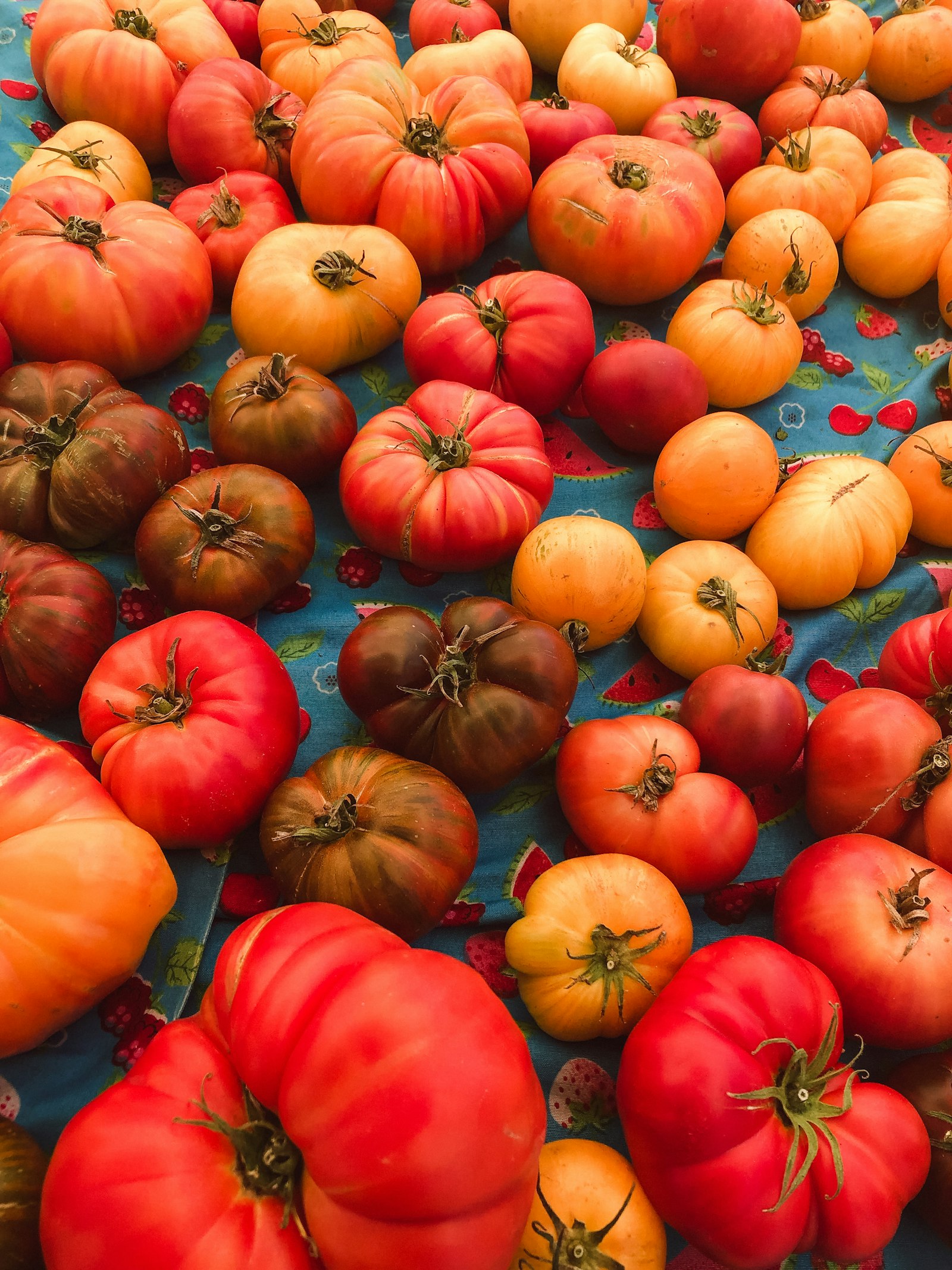 Tomates rouges et orange mûres