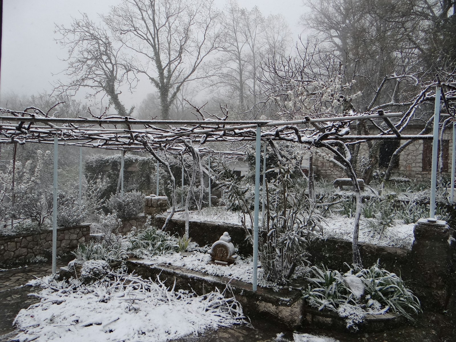 Jardin recouvert de neige à côté d'une clôture