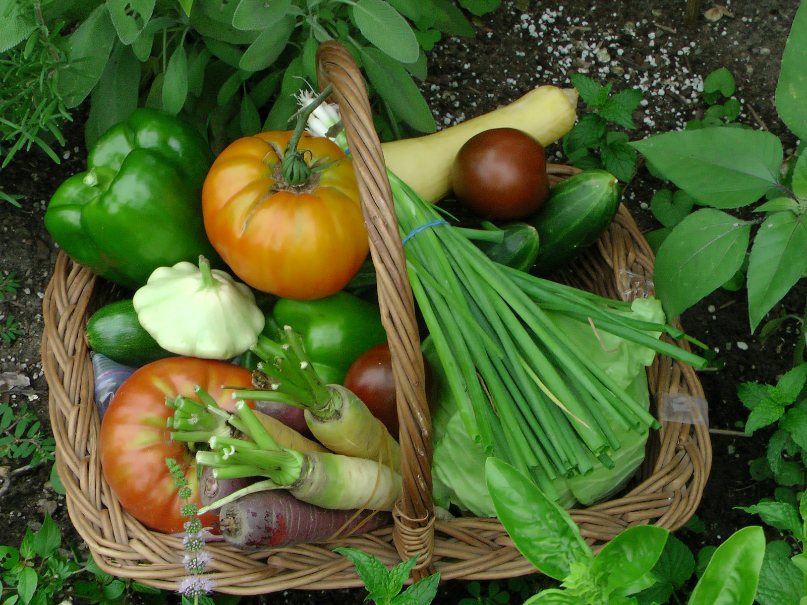 Panier rempli de légumes variés du potager